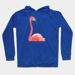 Flamingo in the sky Hoodie